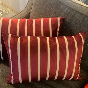 By Anthropologie- set of 2 velvet stripe accent pillows.  (Like new!)